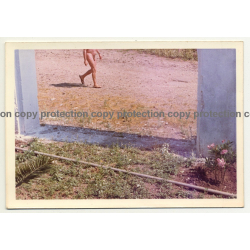 Nude Man Walks In Nature / Artistic Composition - Gay INT (Vintage Photo ~1970s)