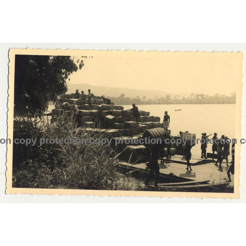 Bangu / Congo: Unloading Cotton From Boat (Vintage RPPC B/W Gevaert ~1930s) Bangu / Congo: Unloading Cotton From Boat (Vintage RPPC B/W Gevaert ~1930s)