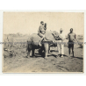 Native Congolese Guys Train Young Elephant / Steppe (Vintage Photo ~1940s/1950s)