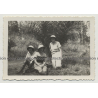 Congo / Africa: 3 Happy Colonial Wifes In Front Of Palm Tree (Vintage Photo B/W ~1930s/1940s)