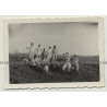 Congo / Africa: Colonial Delegation In Steppe / Safari (Vintage Photo B/W ~1930s/1940s)