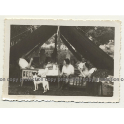 Congo / Africa: Colonial Delegation Rests In Tent / Dog (Vintage Photo B/W ~1930s/1940s)