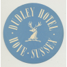 Dudley Hotel - Hove, Sussex / Great Britain (Vintage Luggage Label)