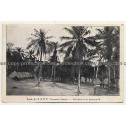 Congo / Africa: Missie Der E. E. P. P. Trappisten (Vintage Postcard B/W)