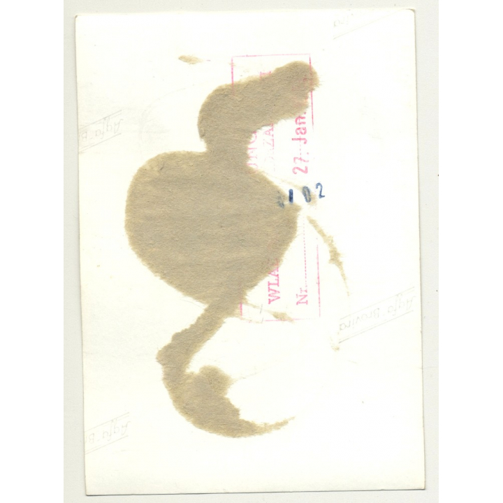 Darkhaired Beauty In Dungeon *6 / Tan Lines - Collar - BDSM (Vintage Photo B/W 1964)