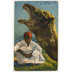 834 Scenes Et Types: Deux Amis / Camel & Young Bedouine (Vintage Postcard)