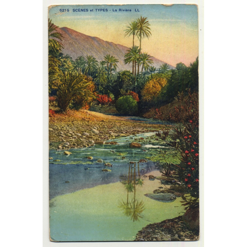 6215 Scenes Et Types: La Rivière / River - Palm Tree (Vintage Postcard)