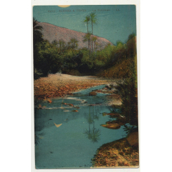 6215 Scenes Et Types: La Rivière / River - Palm Tree *2 (Vintage Postcard)