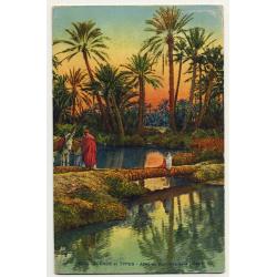 6216 Scenes Et Types: Allée Des Palmiers Dans L'Oasis (Vintage Postcard)