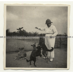Congo Belge: Colonial Master Plays With His Dogs (Vintage Photo B/W ~1930s)
