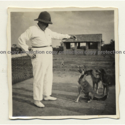 Congo Belge: Colonial Master Plays With His Dogs *2 (Vintage Photo B/W ~1930s)