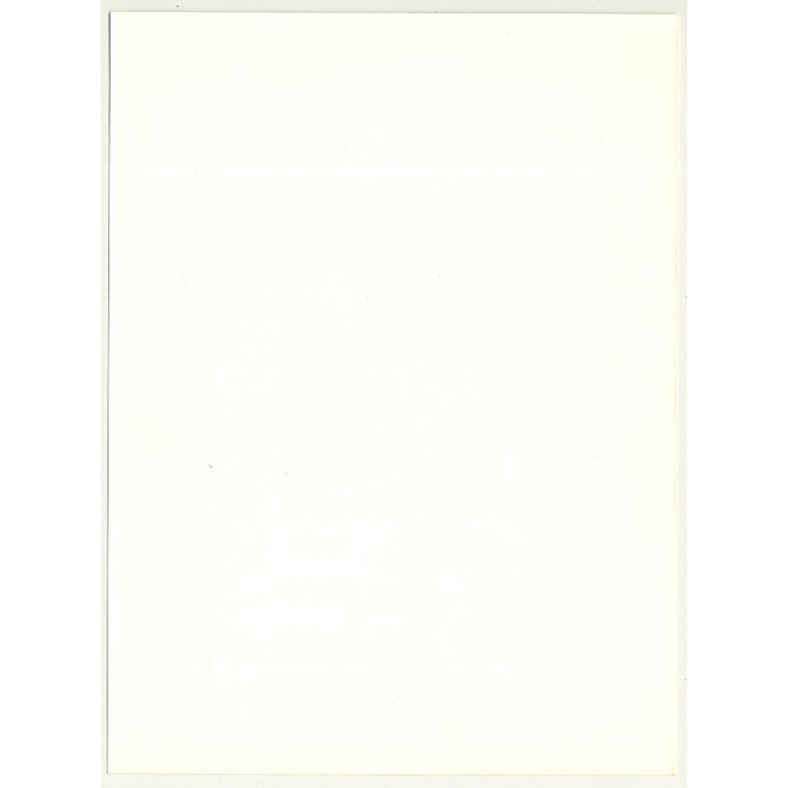 Portrait Of Beautiful Natural Young Woman / Smile (Vintage Advertisement Photo B/W 1980s)