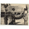 Congo-Belge: Hunter & Natives With Shot Antelope / Rifle (Vintage Photo 1920s/1930s)